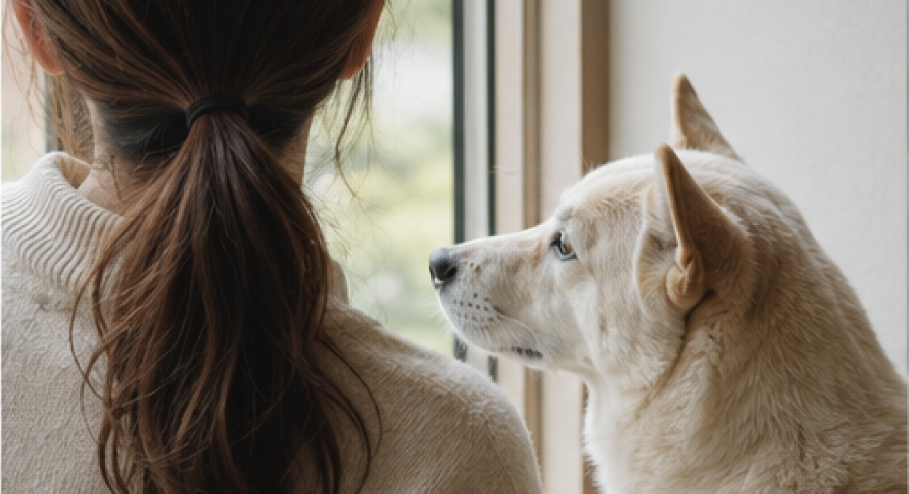 保護犬との暮らし